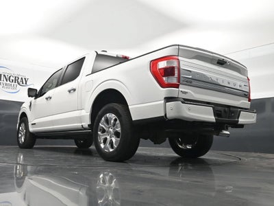 2021 Ford F-150 Platinum