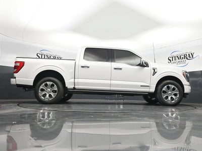 2021 Ford F-150 Platinum